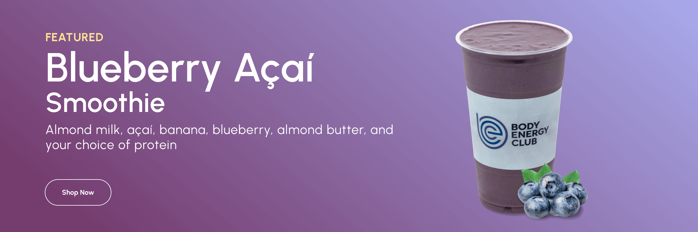 Blueberry Acai Smoothie